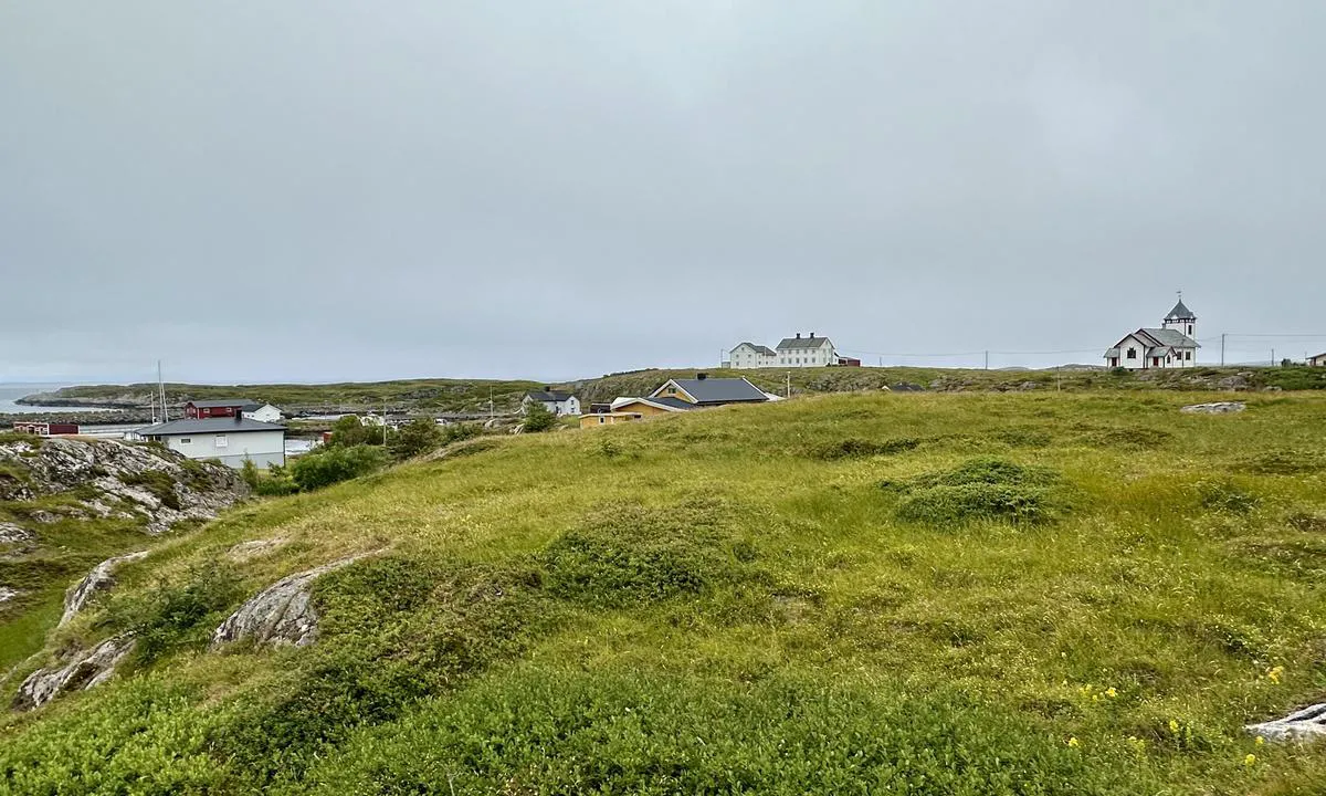 Sauøya